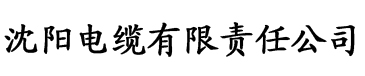 菠萝视频污污在线观看电缆厂logo